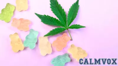 The Intersection of Cannabis Culture and Brain Science