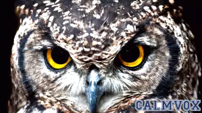 The Positive Aspects of Aging: Kindness and Wisdom