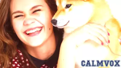 The Positive Impact of Spending Time with Dogs on Emotional Well-Being