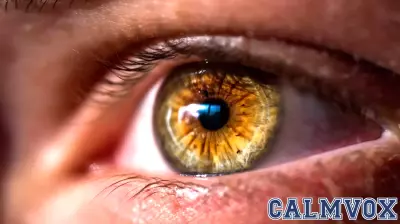 The Power of a Steady Gaze in Elite Performance