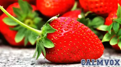 The Strawberry Is a Frankenfruit