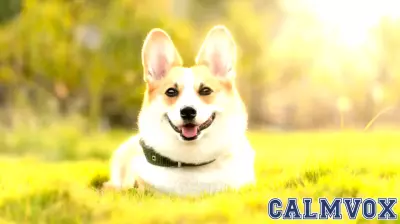 The Unexpected Connection Between Dog Breeds and Social Status