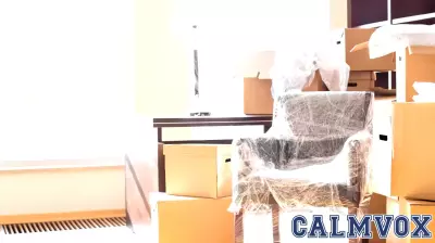 Unpacking the Psychological Reasons Behind Plastic-Wrapped Furniture