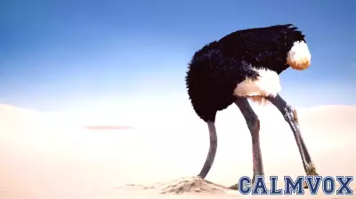 Unraveling the Origins of the 'Ostrich Effect'