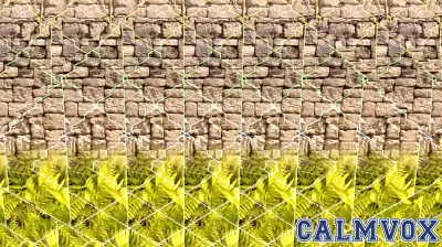 Unveiling the Hidden Image: A Metaphor for Spirituality